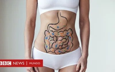 Enfermedad inflamatoria intestinal: Qué es, síntomas y que hacer